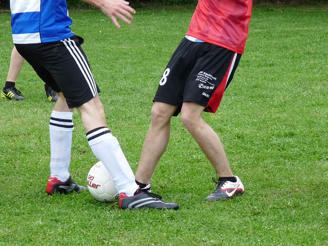 我们可以看 我们可以看