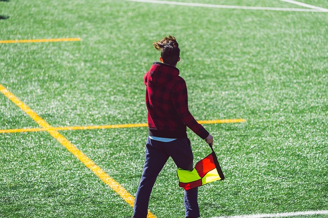 哈維的一句 哈維的一句