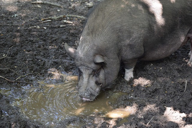 一座可持續 一座可持續