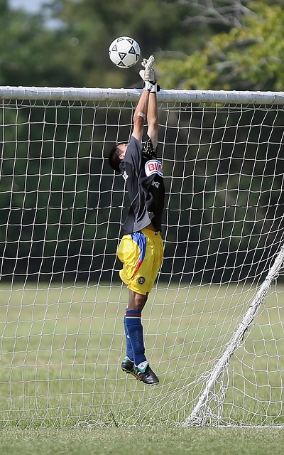 迅速提高了 迅速提高了