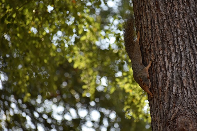 巴萨在赛季 巴萨在赛季