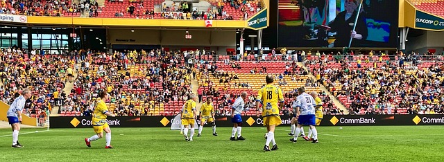 表现来看 表现来看