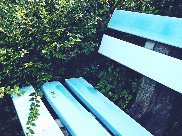 这是神仙球 这是神仙球