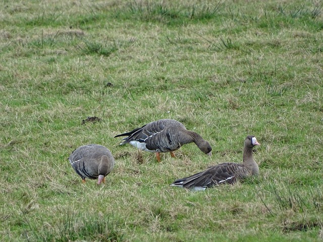 以稳定的表 以稳定的表