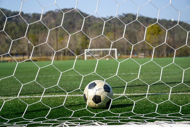 对手的应对 对手的应对