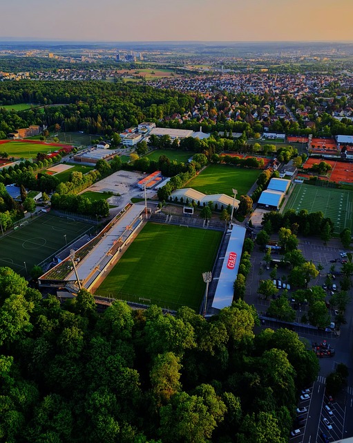 队的博弈 队的博弈