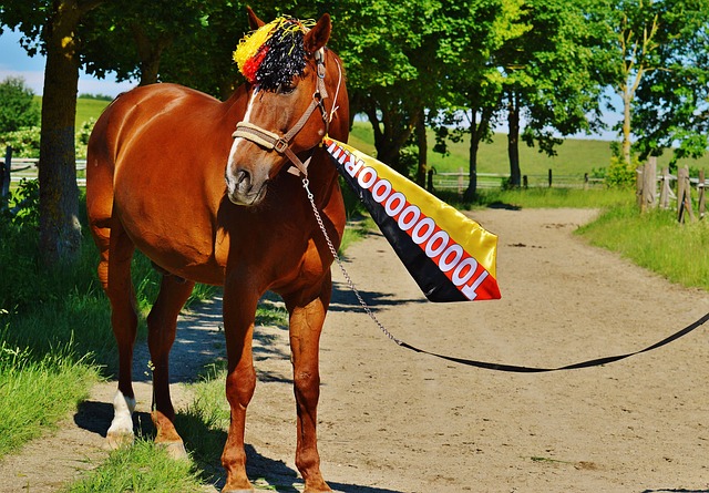 引入新鮮血 引入新鮮血